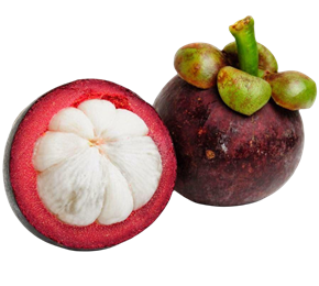 Mangostan