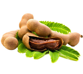 Tamarind (Demirhindi)