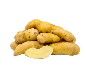 Kipfler Patates